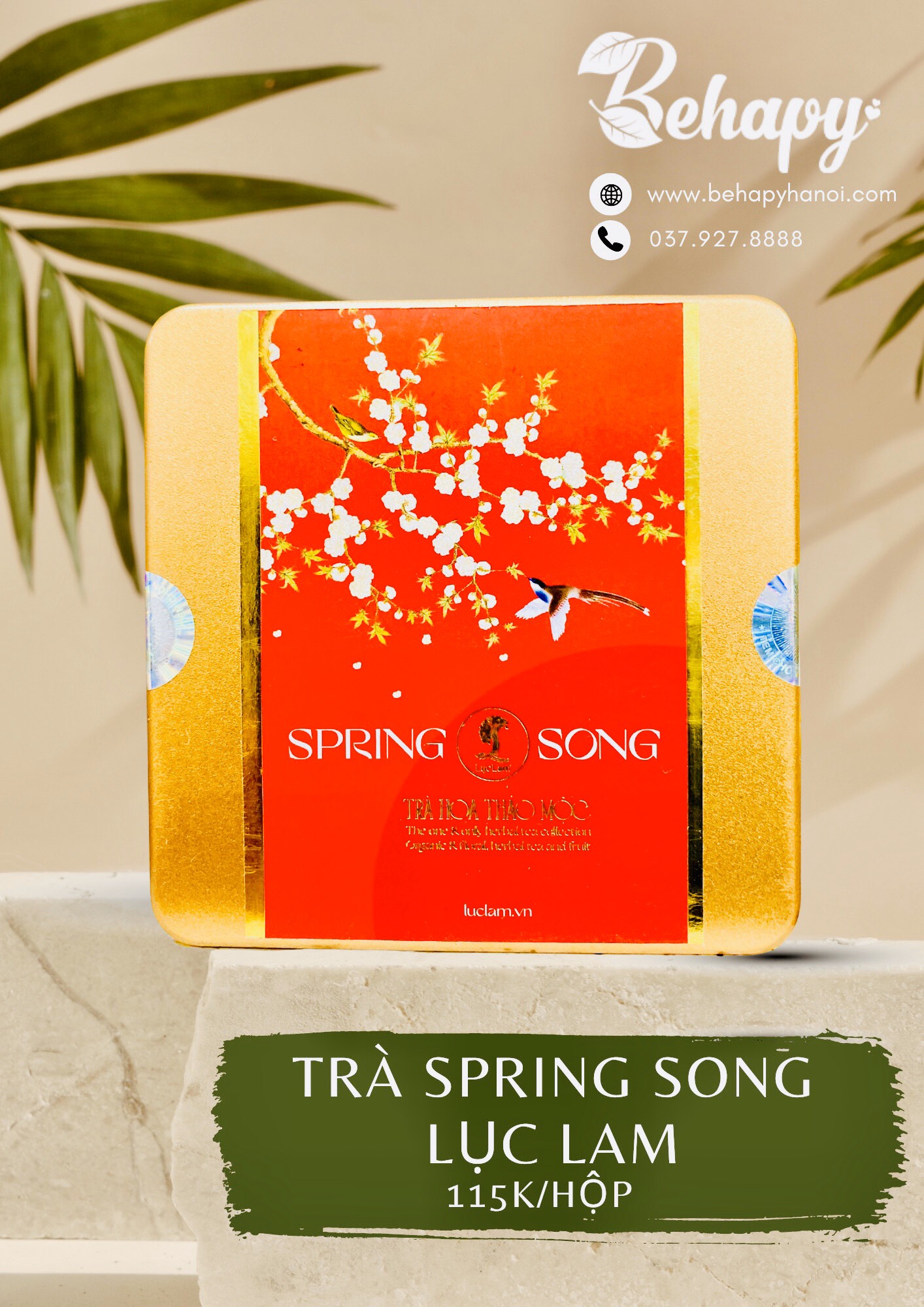 Trà Spring Song Lục Lam