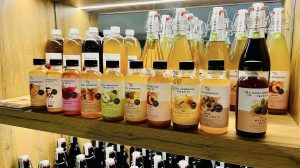 CÔNG DỤNG CỦA TRÀ LÊN MEN KOMBUCHA – LỢI ÍCH CHO SỨC KHỎE VÀ SẮC ĐẸP