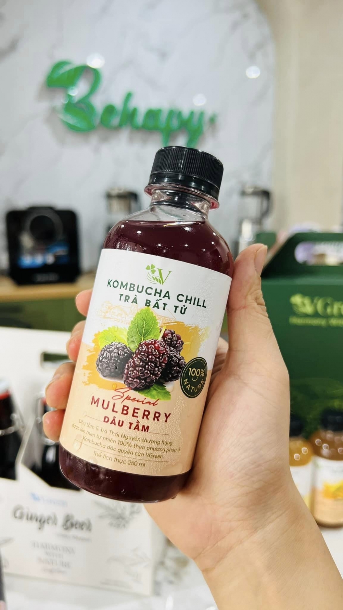 Trà Kombucha Chill Dâu Tằm VGreen 250ml