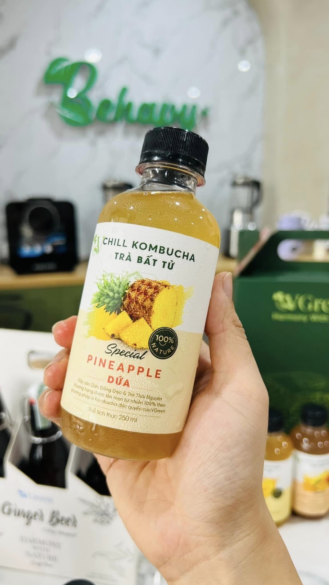 Trà Kombucha Chill Dứa VGreen 250ml