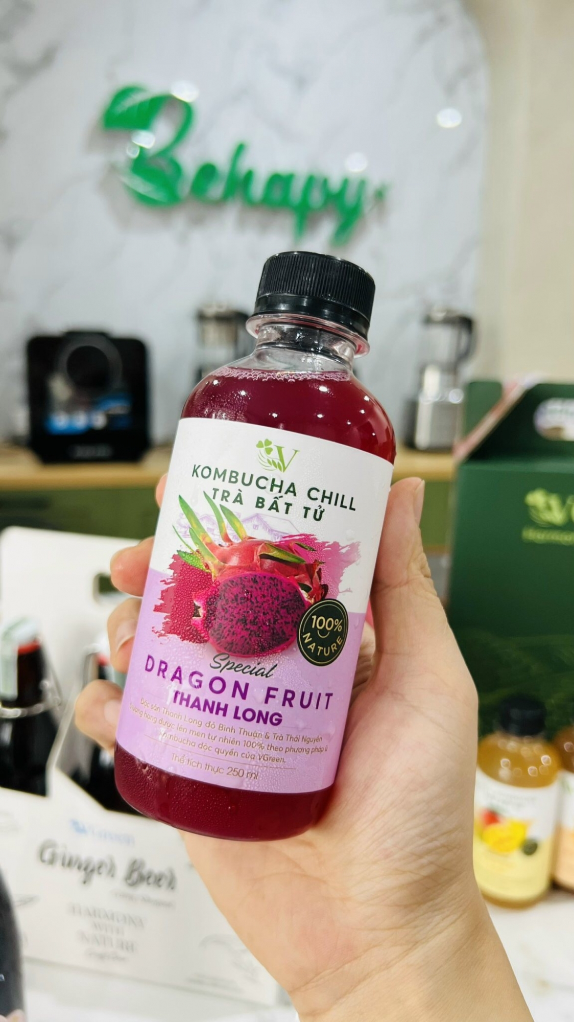 Trà Kombucha Chill Thanh Long VGreen 250ml