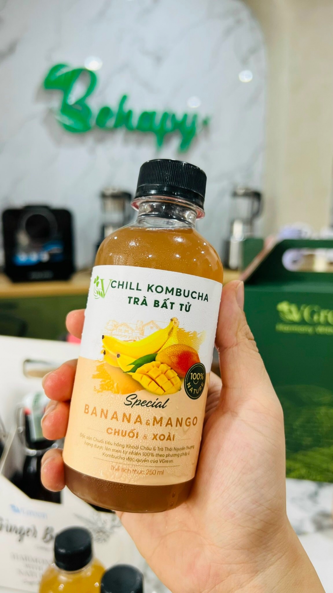 Trà Kombucha Chill Xoài (Mix Chuối) VGreen 250ml